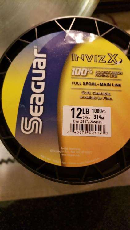 Seaguar1.jpg